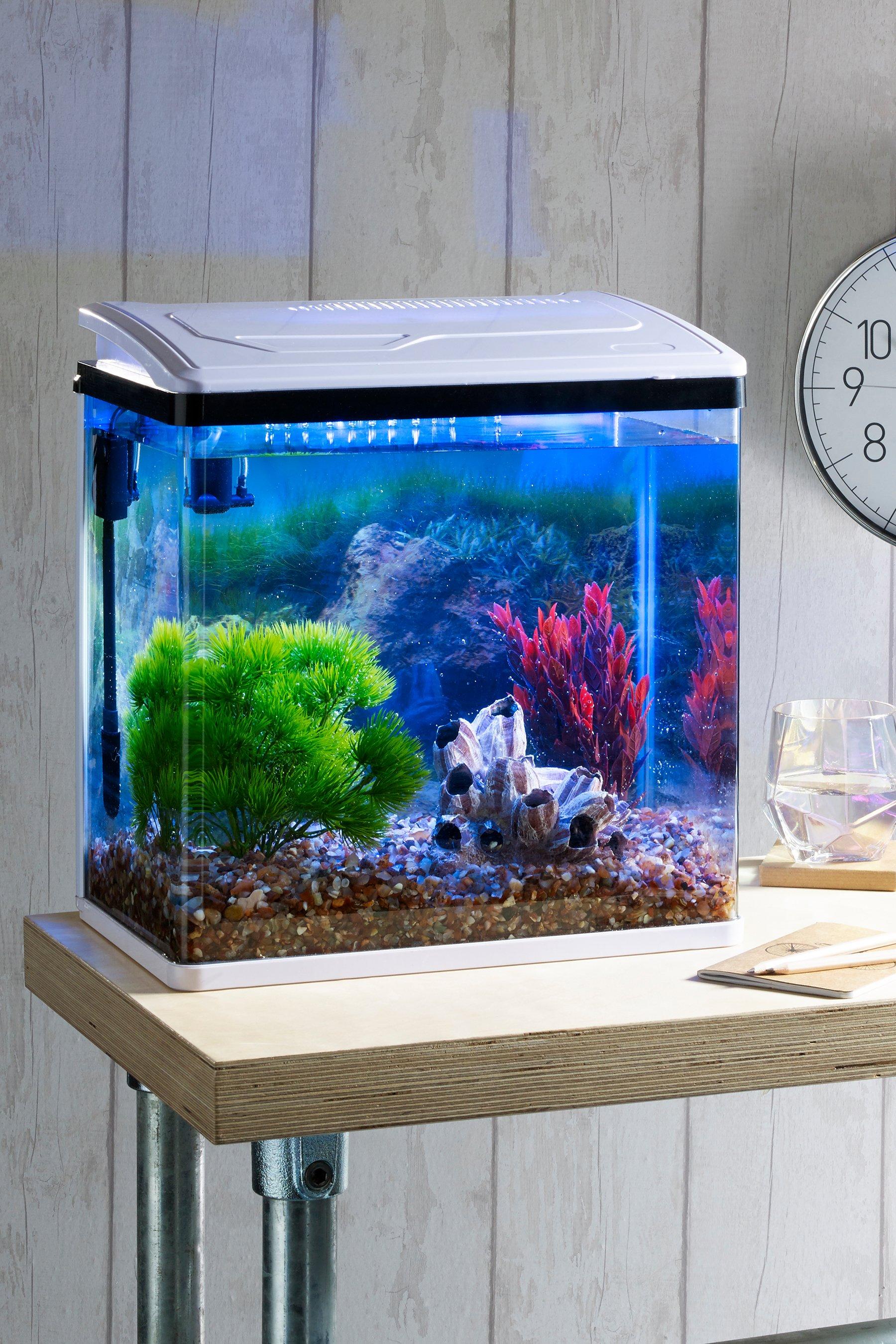 Informeer brandwond Maaltijd Fish Tank with LED Light | Studio