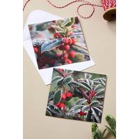 Image of Pack of 10 Frosted Berries Christmas Cards