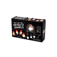 Image of Naughty Gnome Planters