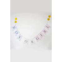 Image of Bambino Gender Reveal Bunting - Boy or Girl