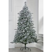 Image of Snow Covered Ashley Pine Christmas Tree