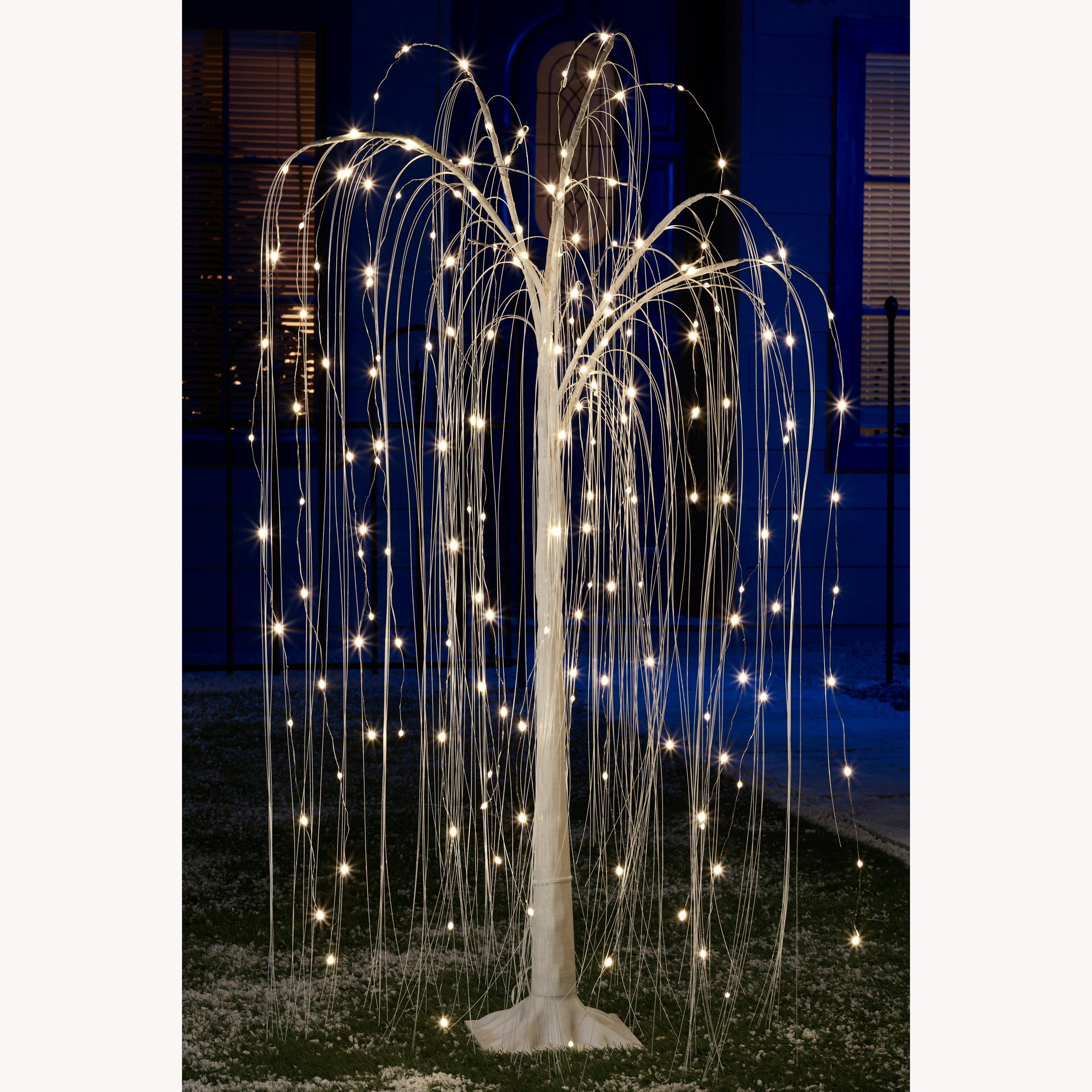 light up willow tree studio