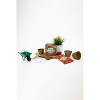 Image of Bug Eating Plants