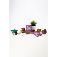 Image of Magicial Unicorn Garden