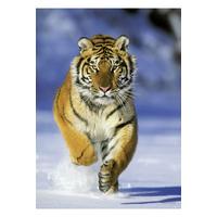 Image of Tiger 1000-Piece Jigsaw Puzzle