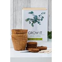 Image of Grow It Snore Ease Plant