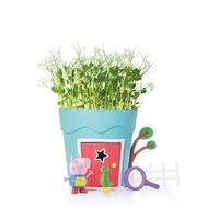 Image of Peppa Pig Growing - George