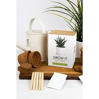 Image of Grow It - Air Filtering Plant