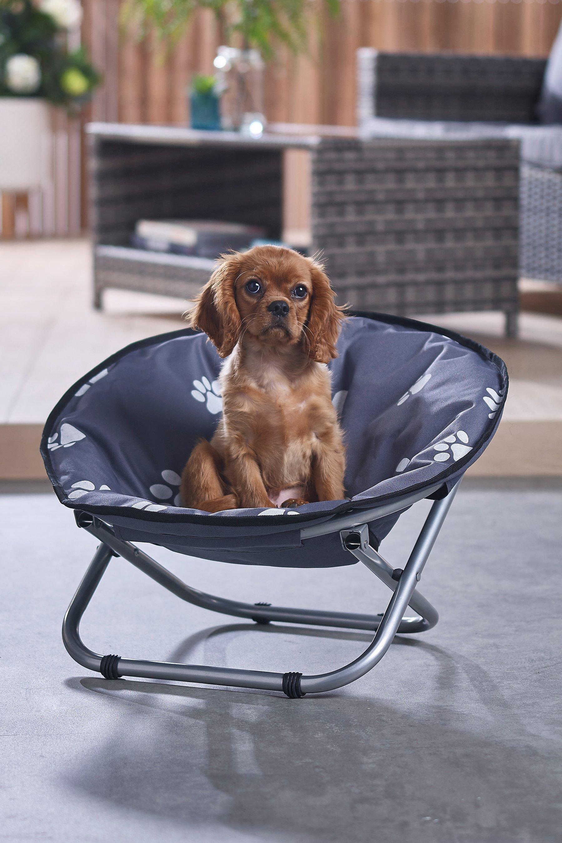 pet chair