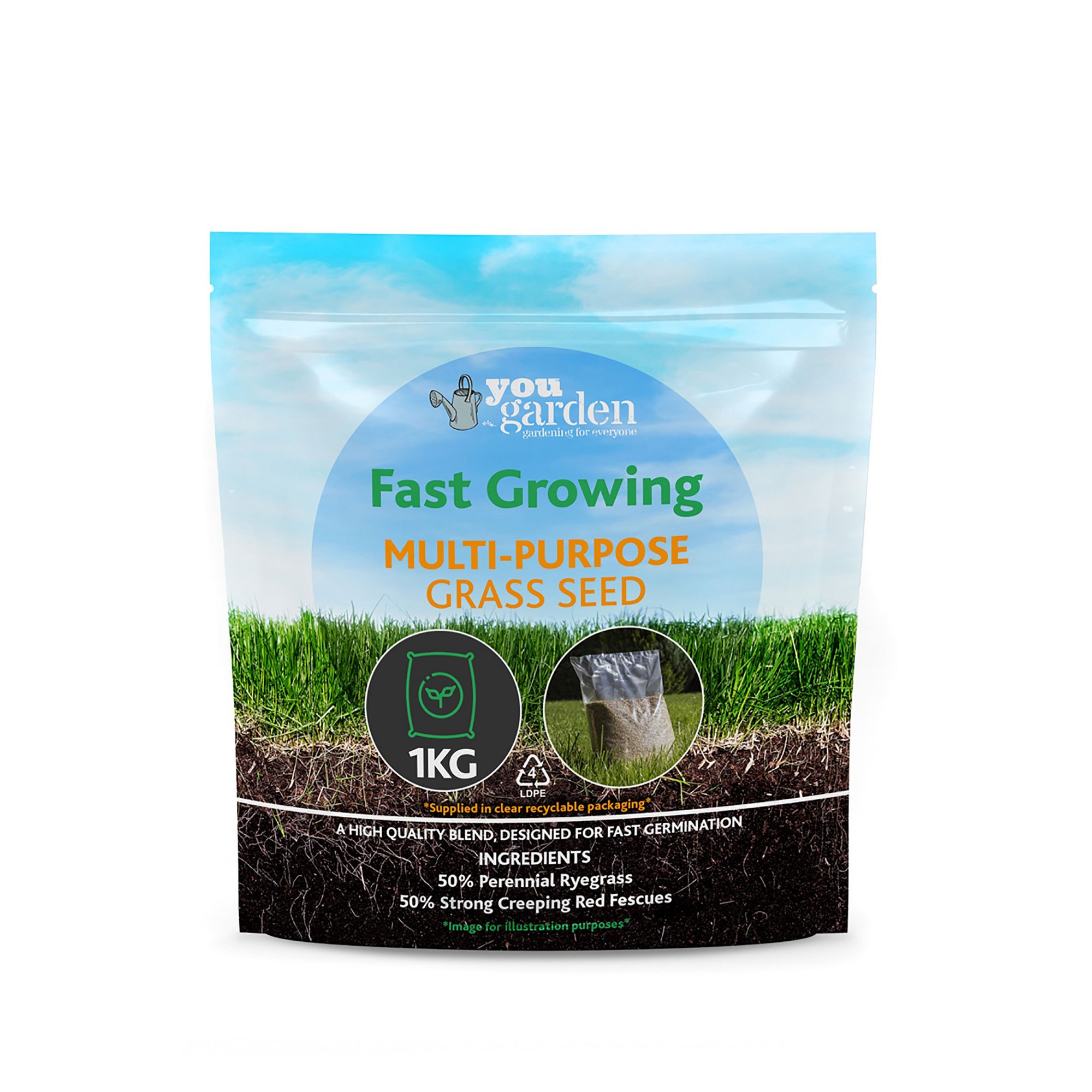 Image of Everyday Fast Grass Mix