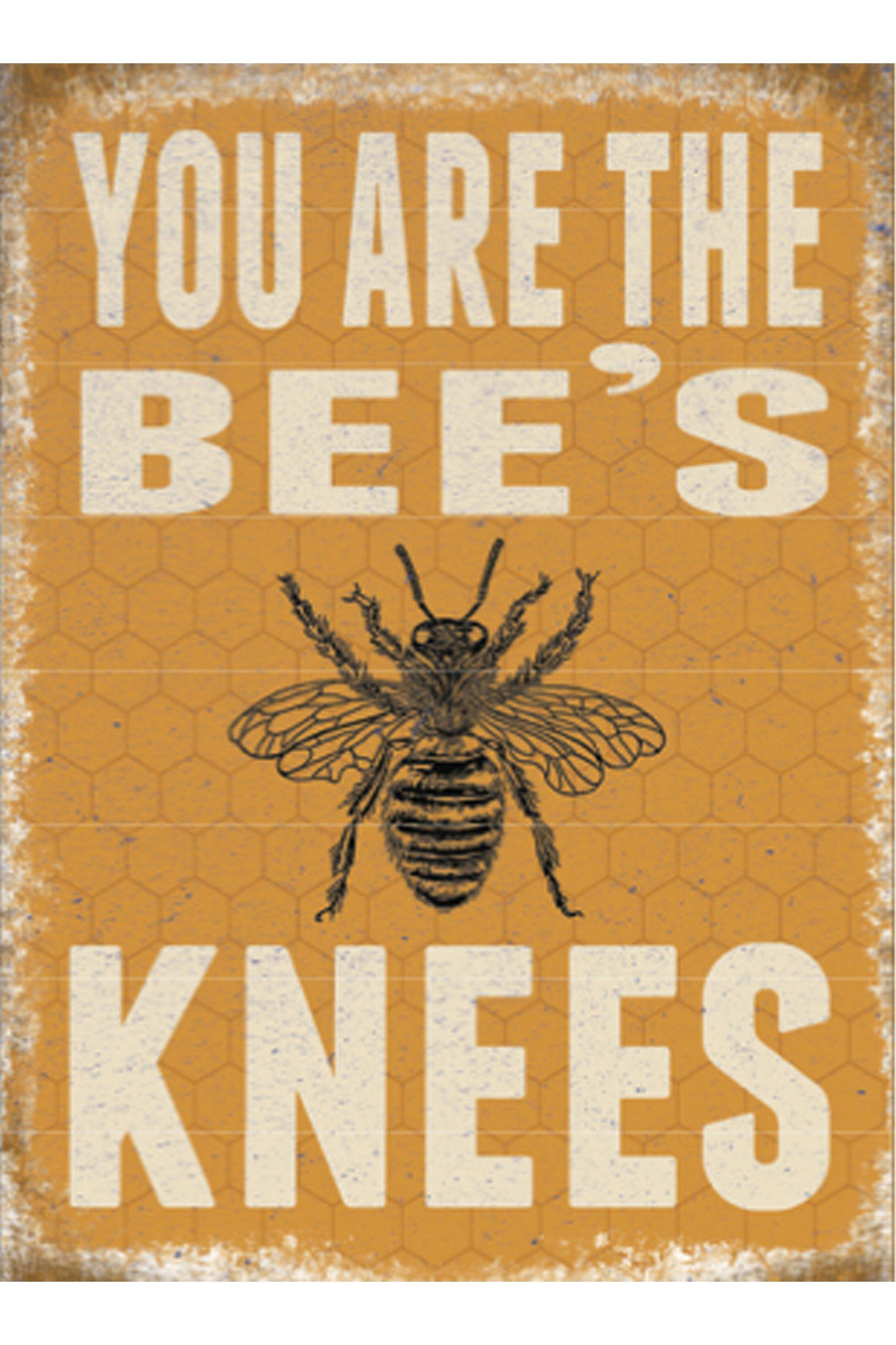 Bees knees. Bee's Knees. Bee's Knees Origin.