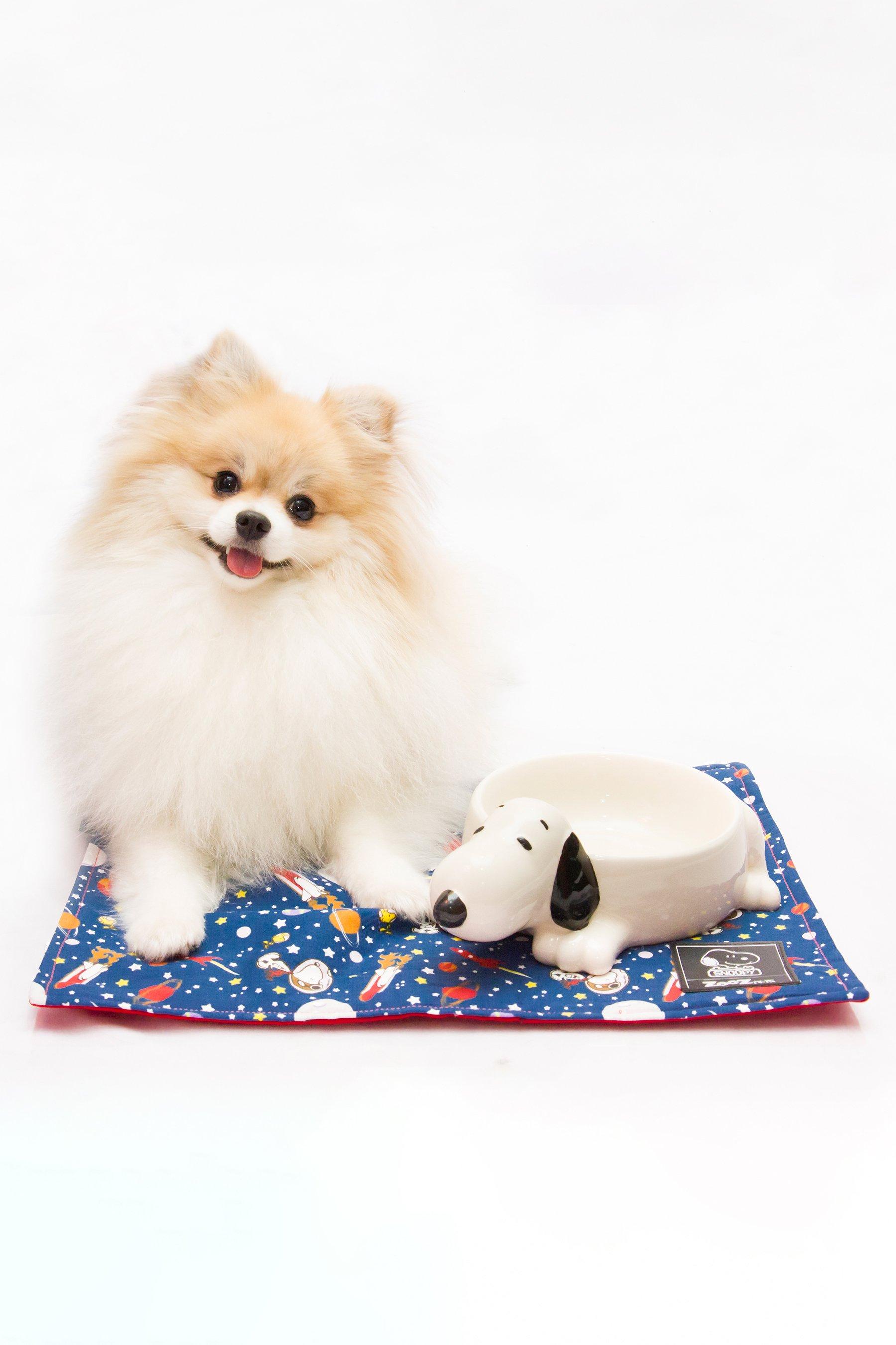 Snoopy 3d Ceramic Dog Bowl Studio