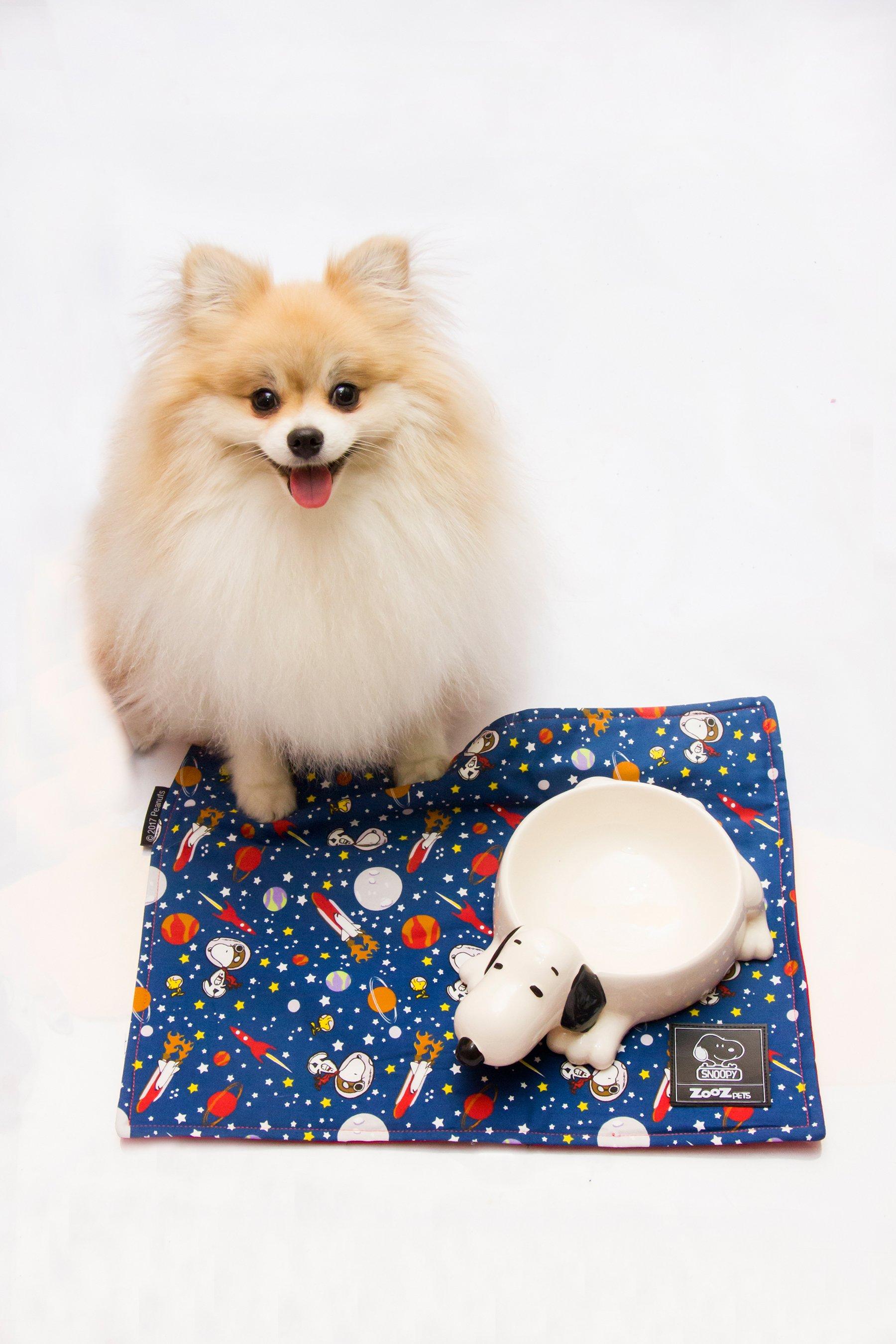 Snoopy 3d Ceramic Dog Bowl Studio