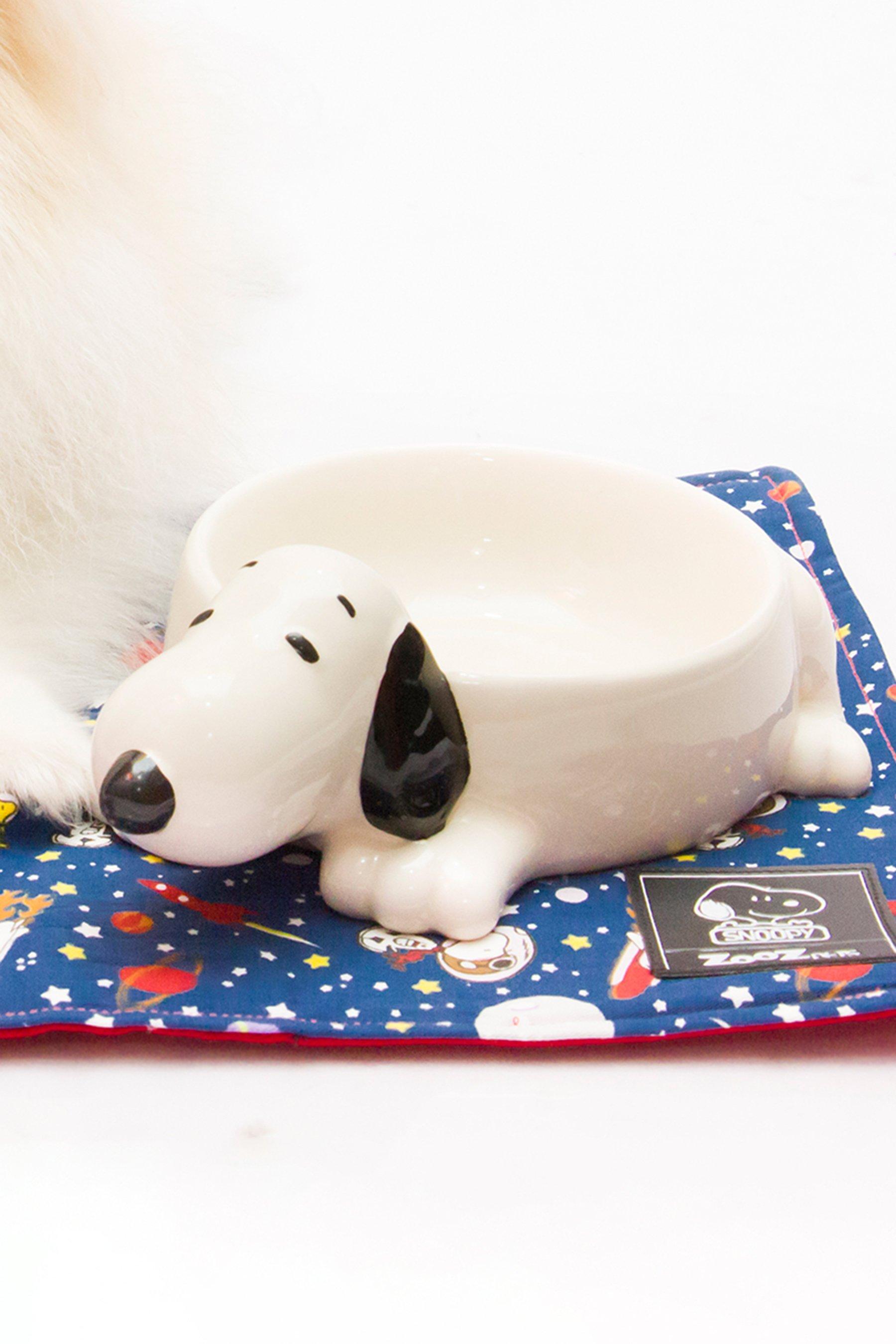 Snoopy 3d Ceramic Dog Bowl Studio