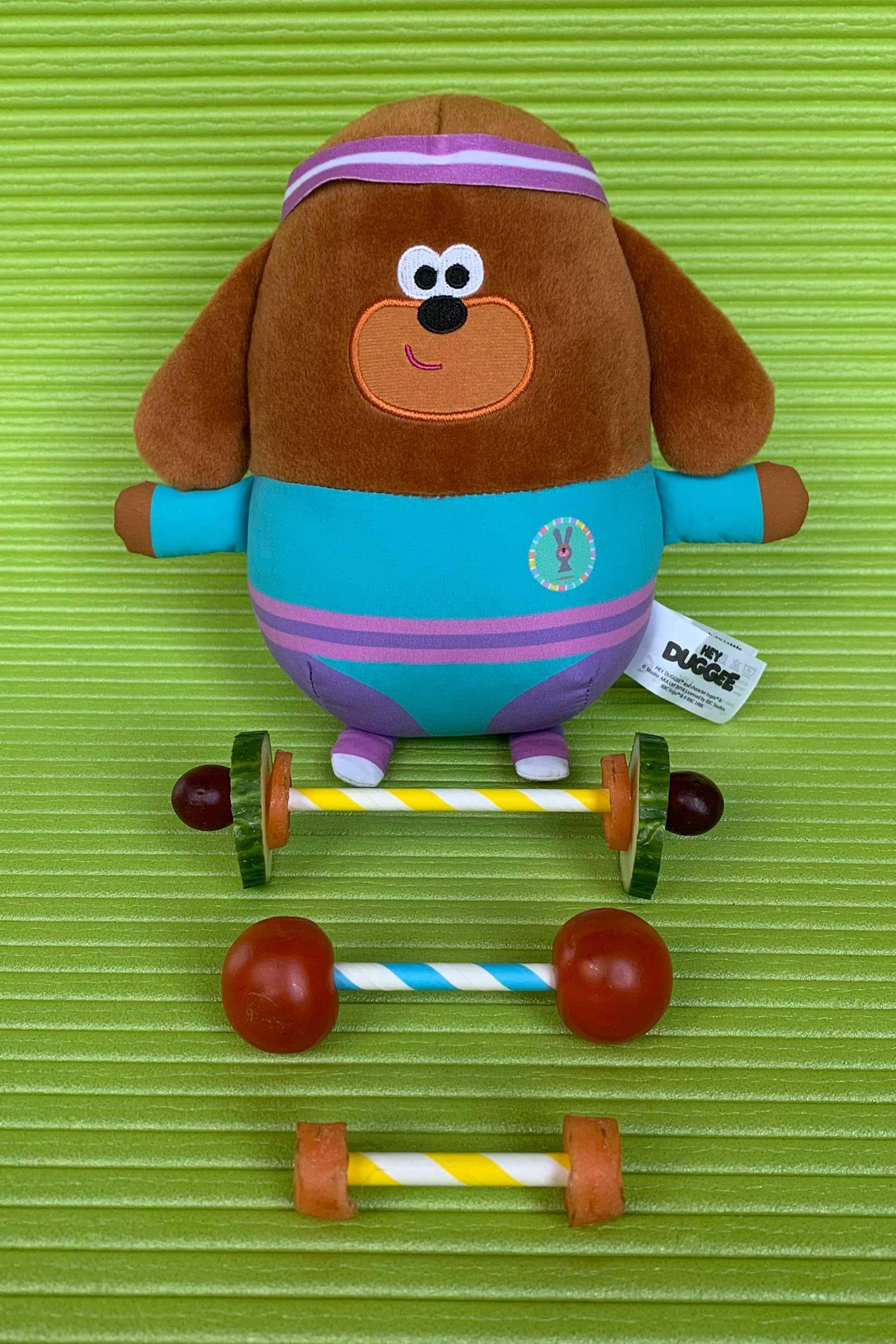 hey duggee heatable soft toy