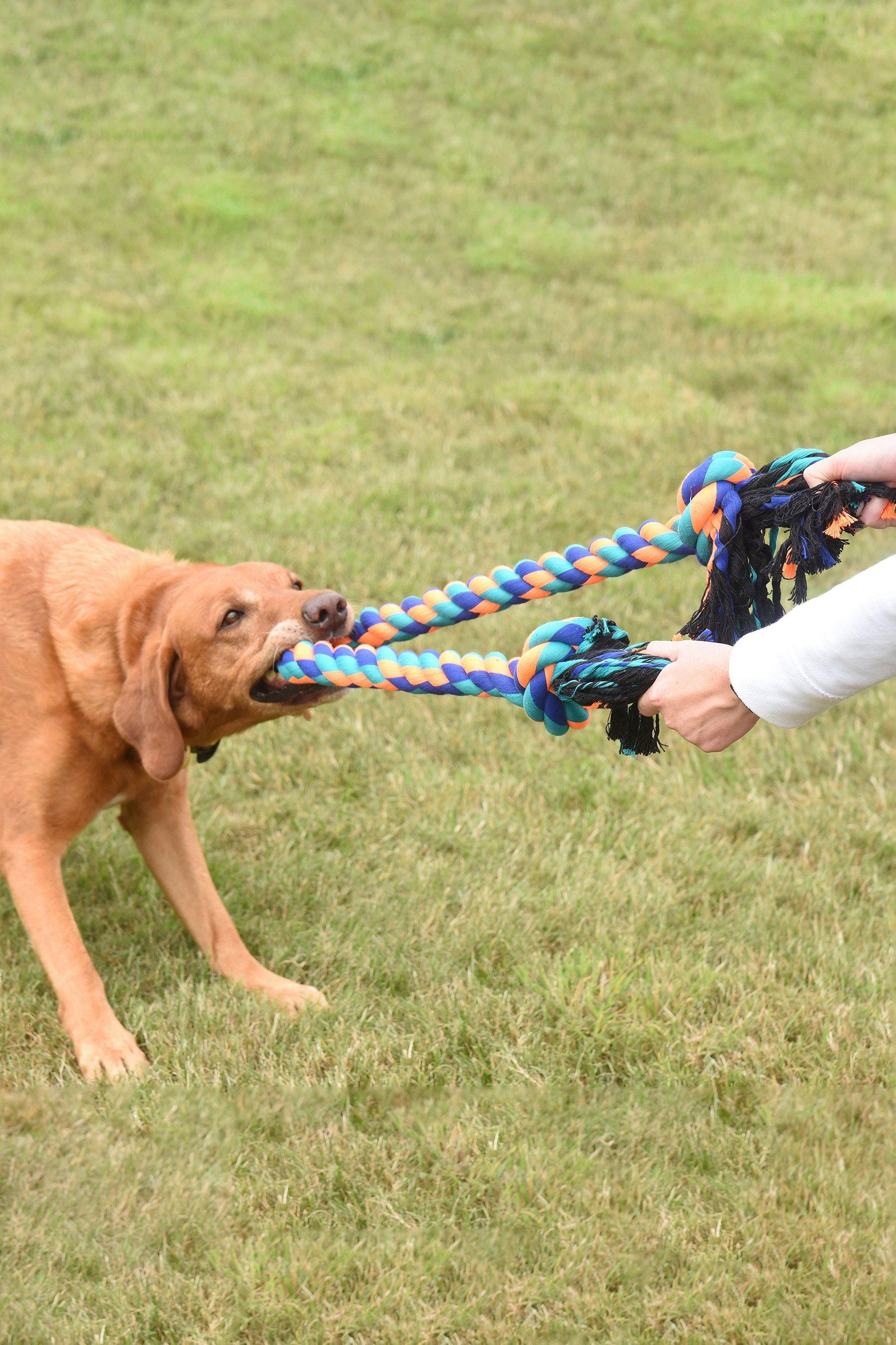 mega tug dog toy