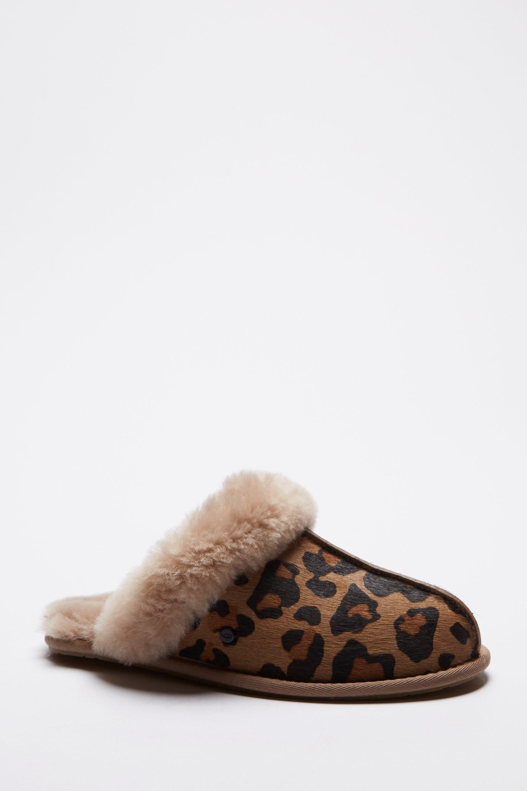 slippers leopard