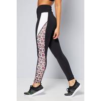 Image of Animal Print Active Leggings