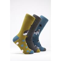 Image of Wild Feet Pack of 3 Bulldog Socks
