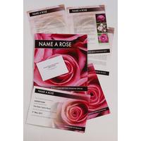 Image of Personalised Name a Rose