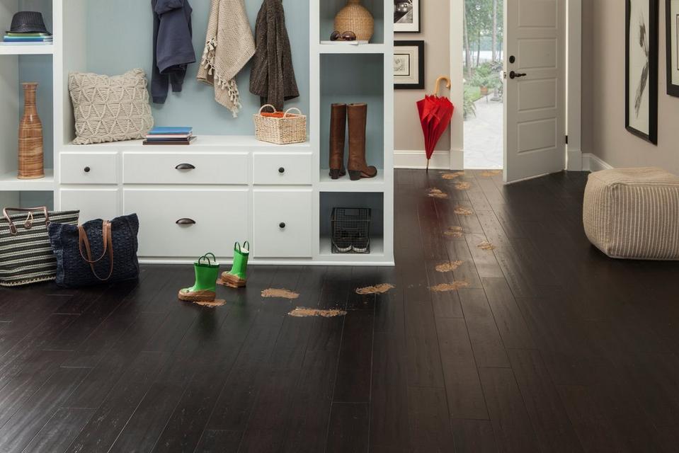 Scratch Resistant Flooring: Which Material Is the Best?