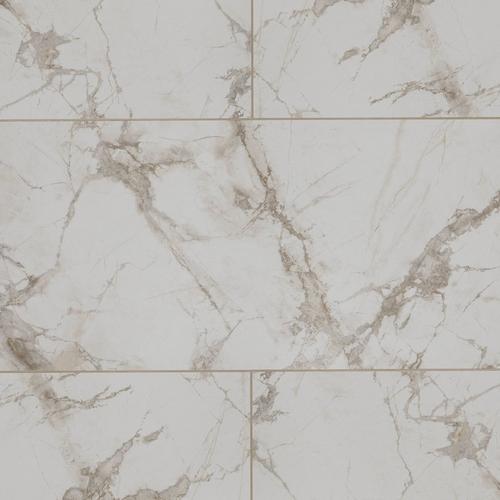 Aurora Honed Ivory Porcelain Tile 24 X 48 100651074 Floor