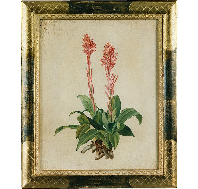 Óleo sobre lienzo Botanical Painting - Bianchi Arte