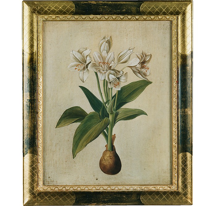 Oil on Canvas Botanical Painting - Bianchi Arte