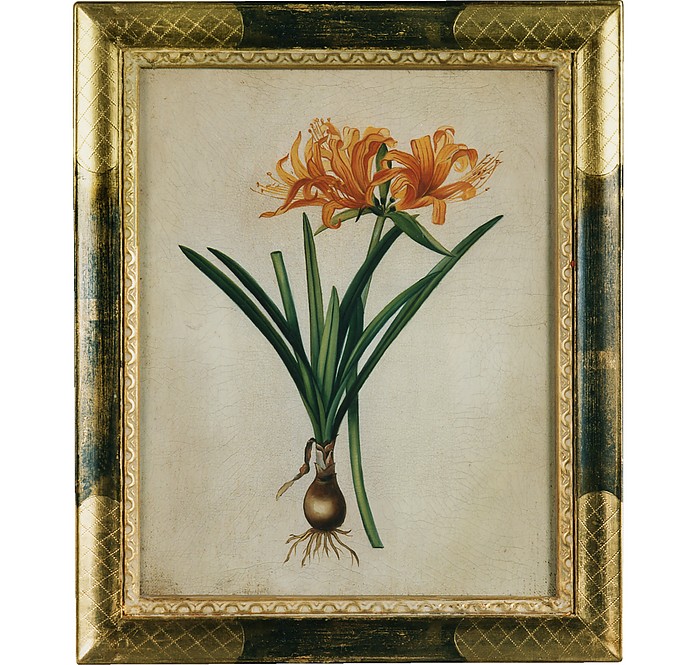 Oil on Canvas Botanical Painting - Bianchi Arte