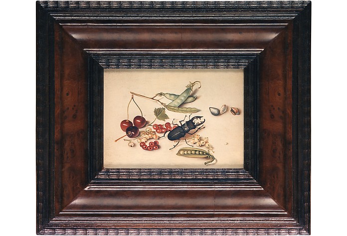Oil on Canvas Insects Painting - Bianchi Arte