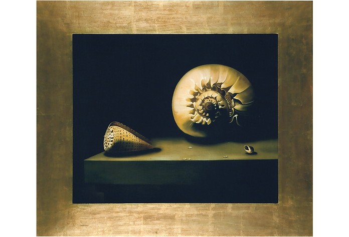 Картина с Изображением Раковин, Масло на Холсте - Bianchi Arte