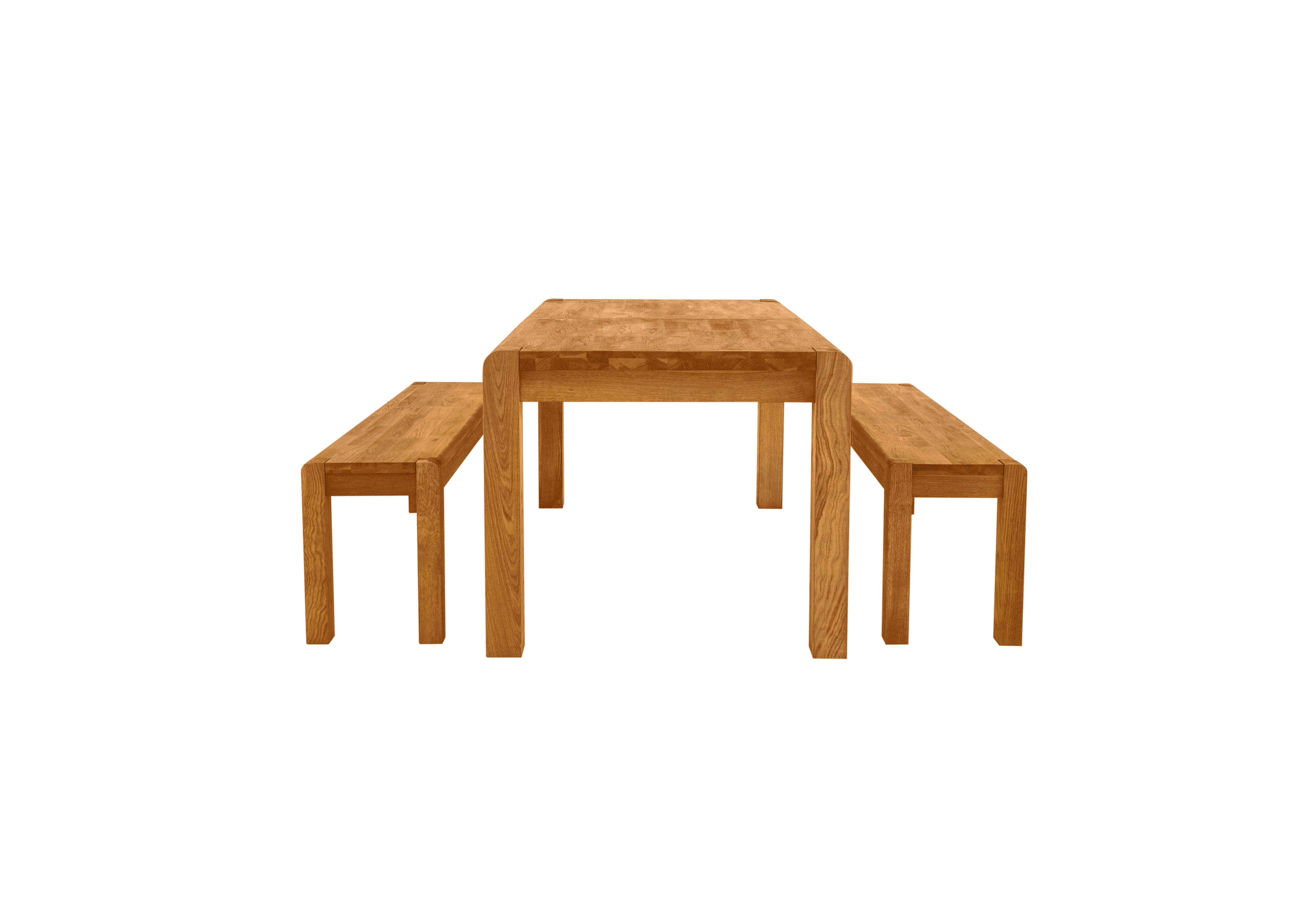 Bakerloo Large Extending Table and 2 Large Benches Dining Set