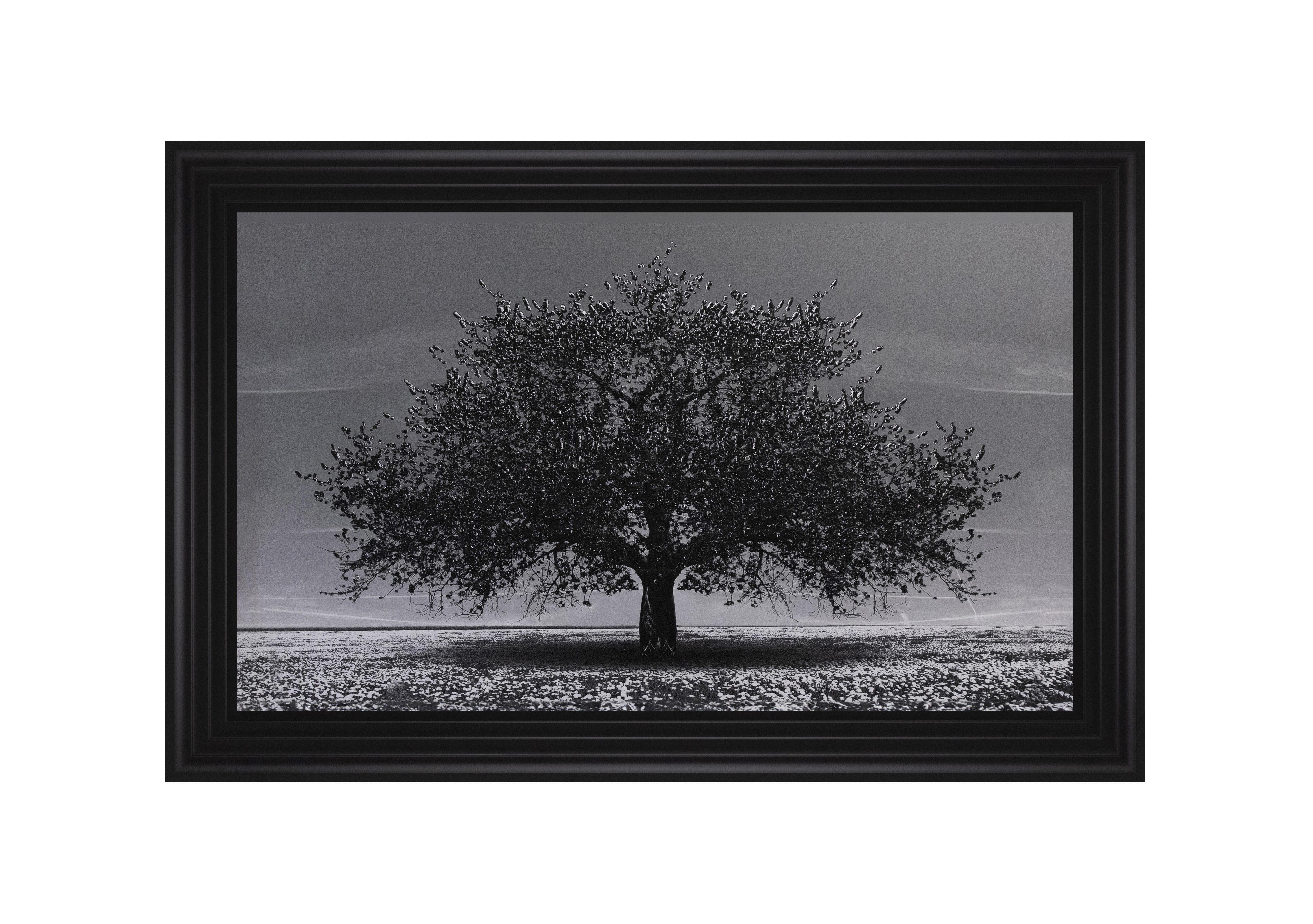 Cherry Tree Black Framed Art Furniture Village