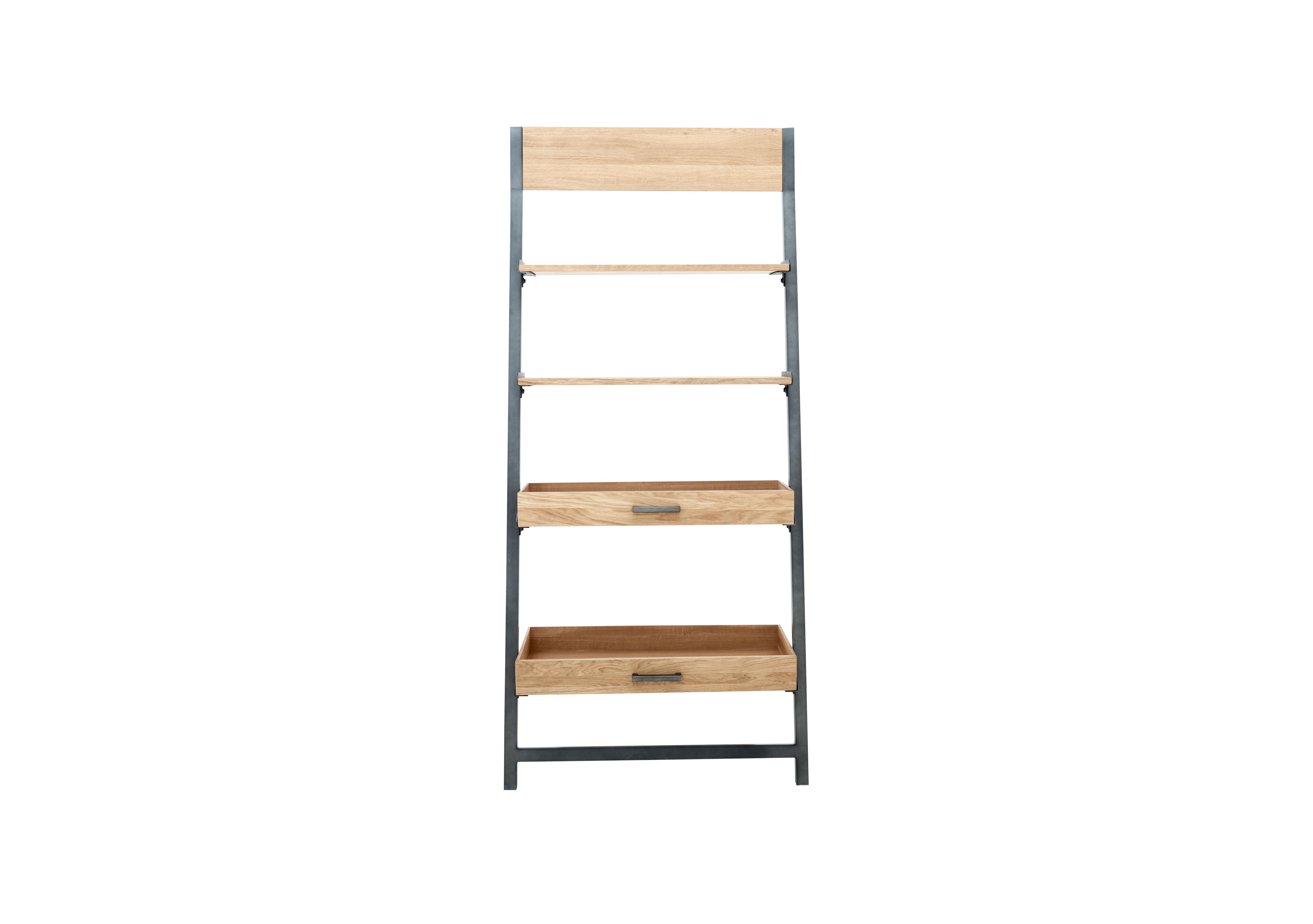 Earth Ladder Shelving Unit Furniture Village