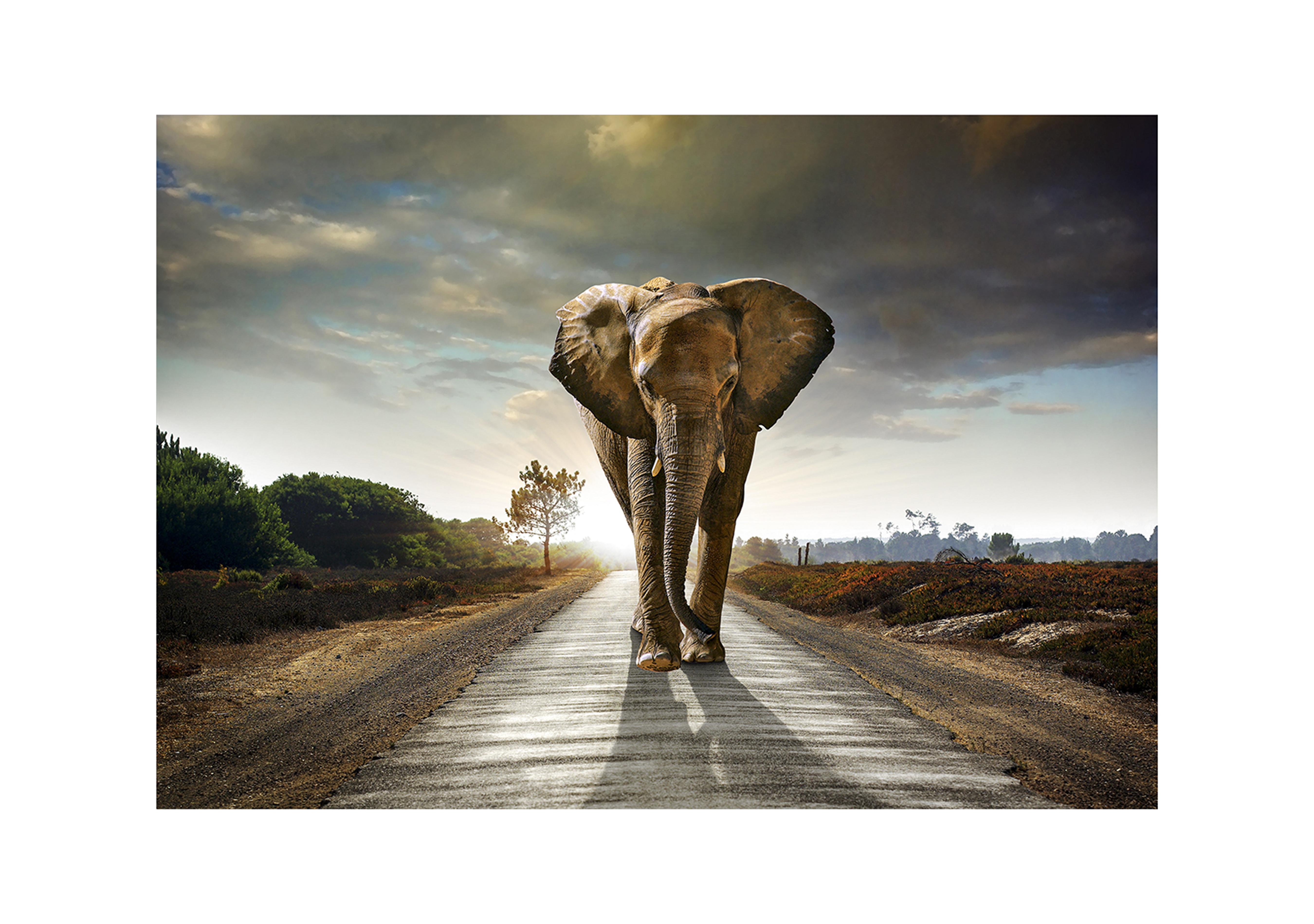 Morning March Large Glass Picture Furniture Village