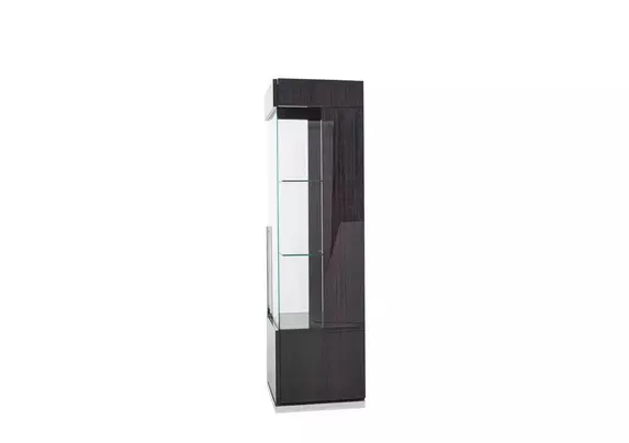 Black glass deals curio cabinet