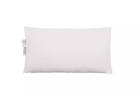 Feather pillows hot sale kmart