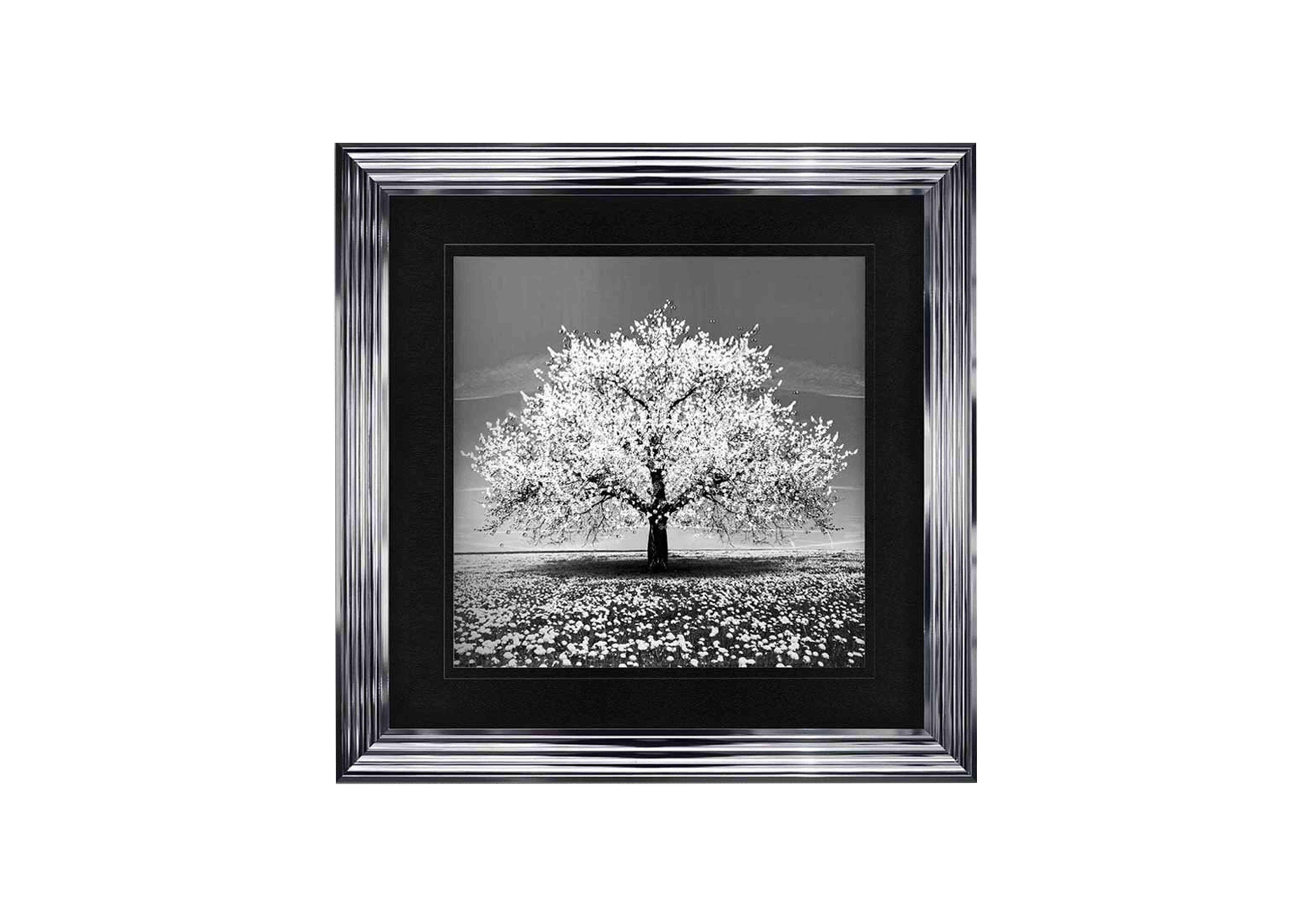 White Cherry Tree Framed Art - Furniture Village