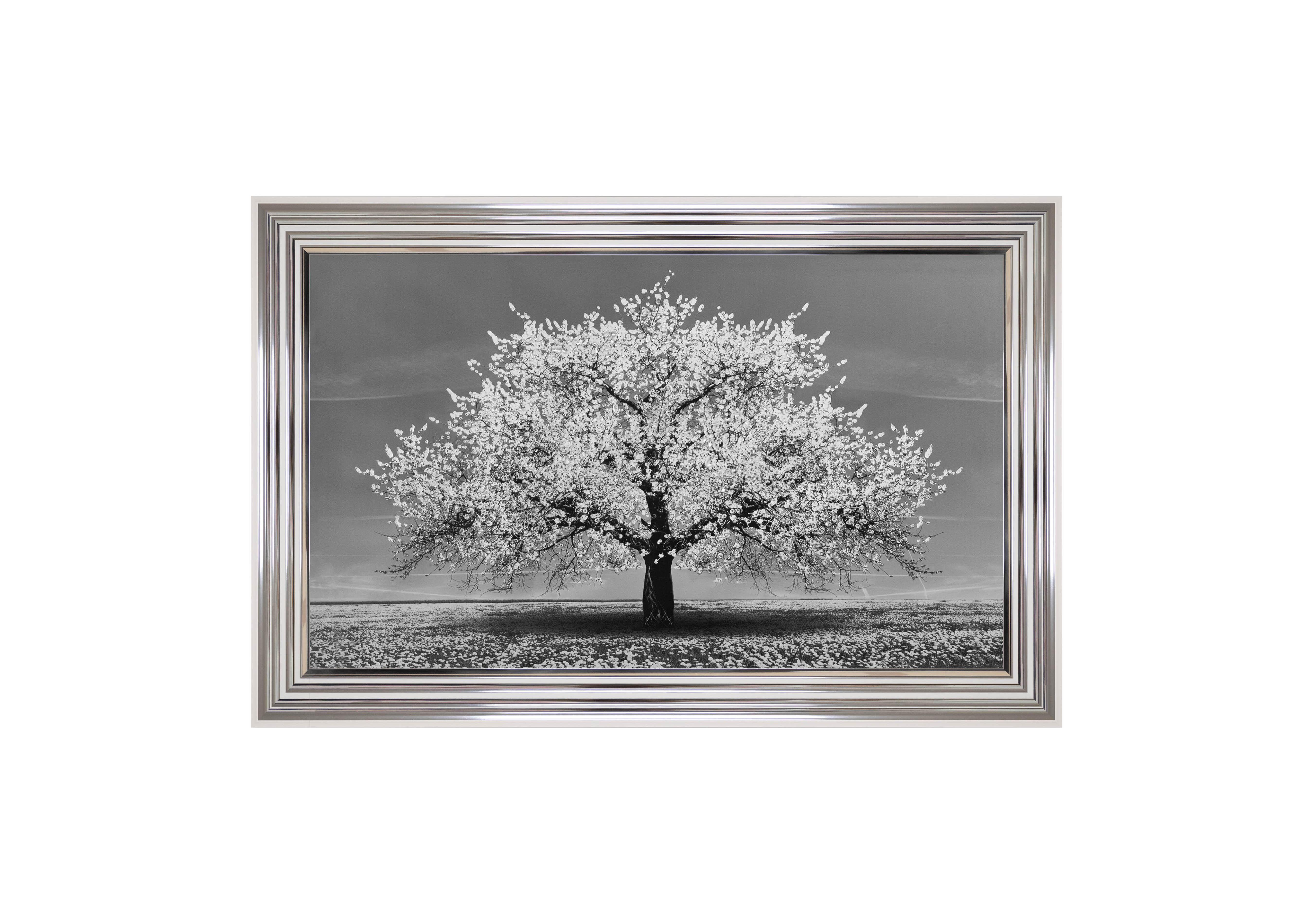 White Cherry Tree Framed Art Furniture Village