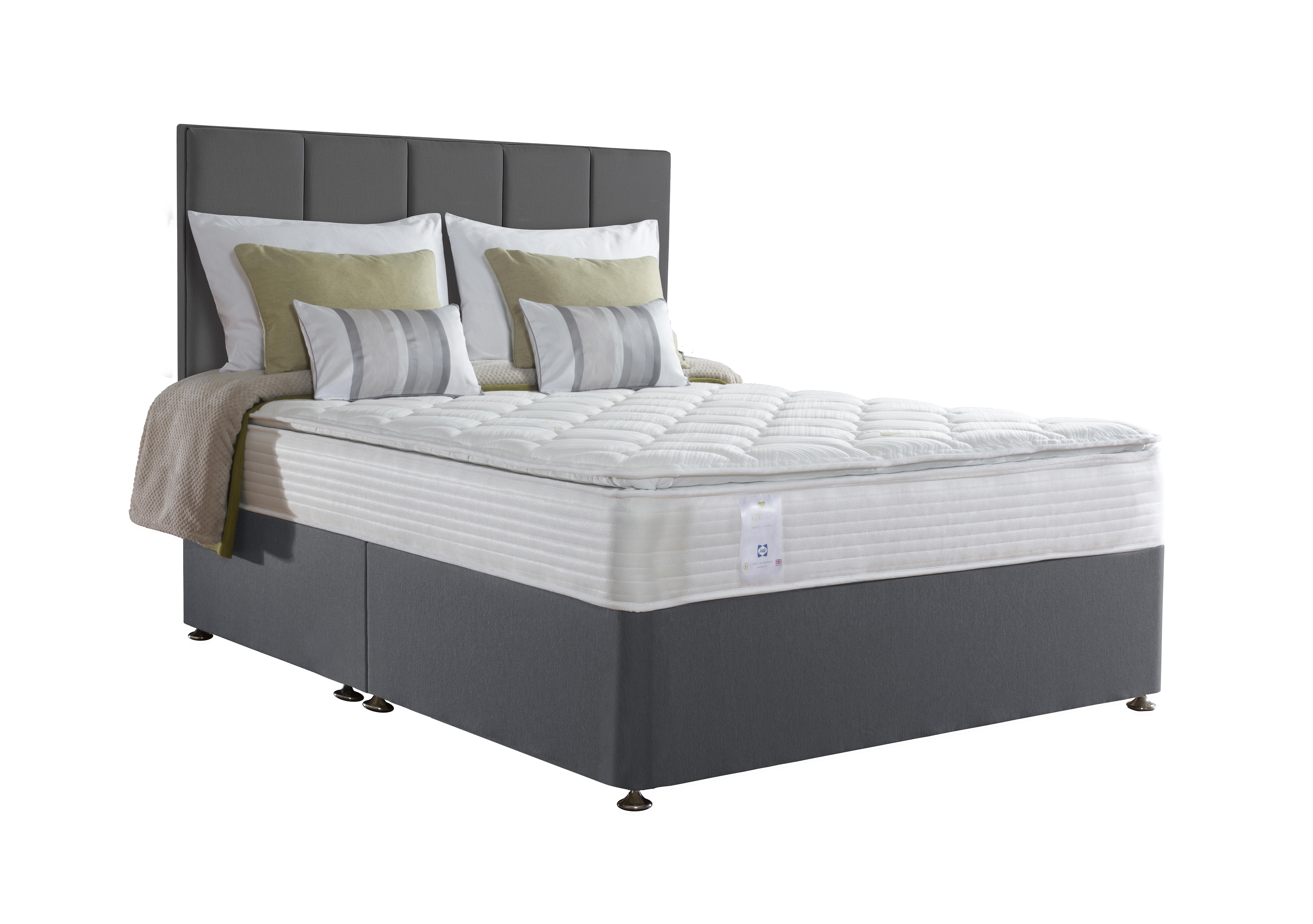 Sealy activsleep store