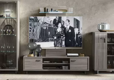 Entertainment center deals with wall panel