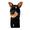 DOBERMAN