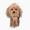 SCRUFFYDOG