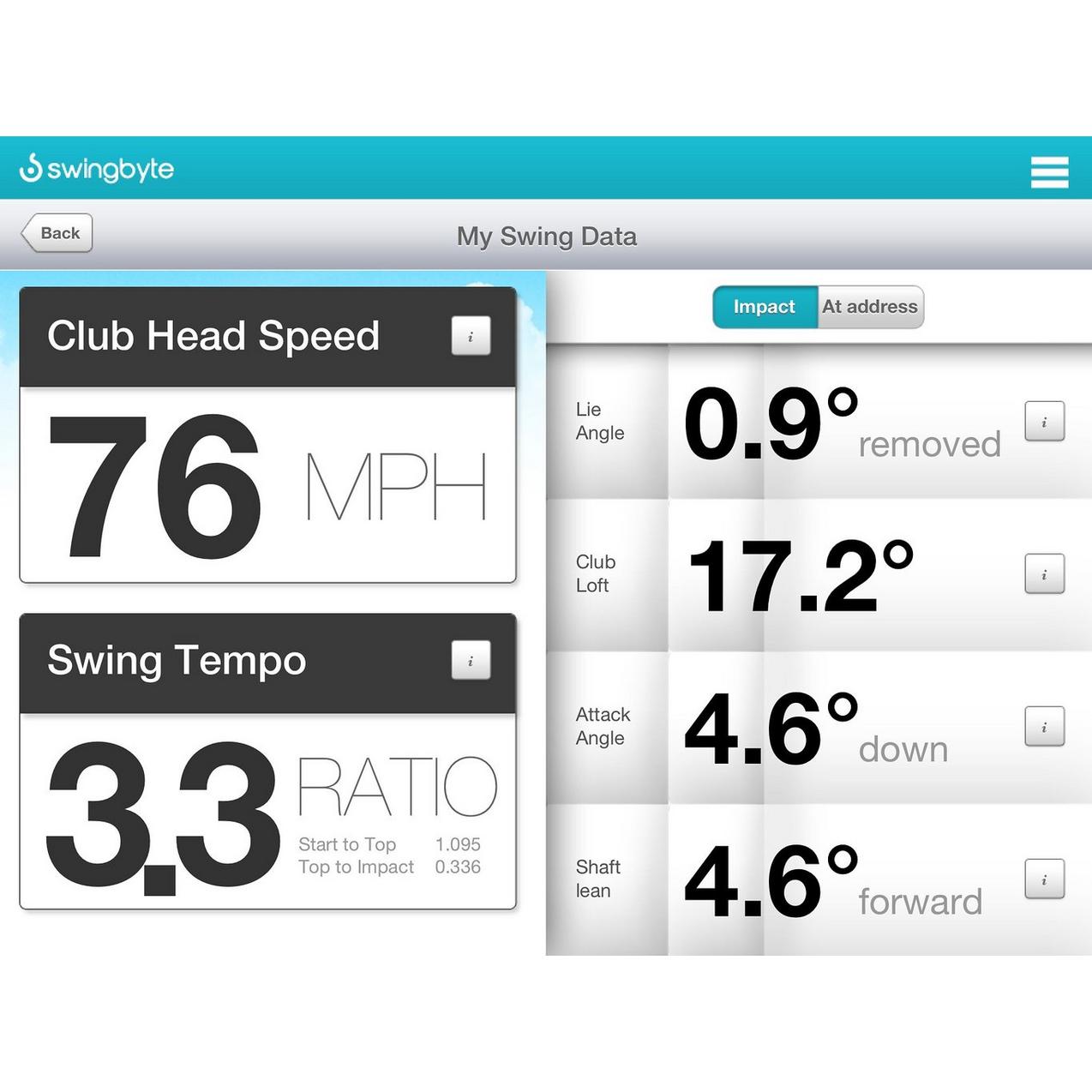 Golf Swing Analyzer