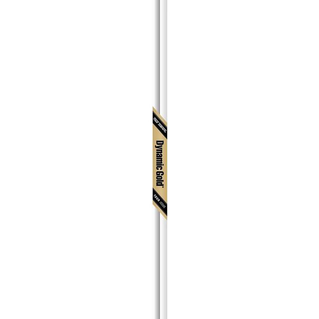 Dynamic Gold Tour Issue .355 Taper Tip Steel Iron Shaft | TRUE