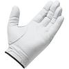 Targa Glove