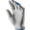 Cool Switch Golf Glove
