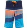 Men's Gnarly Wave Boardshorts 21IN
