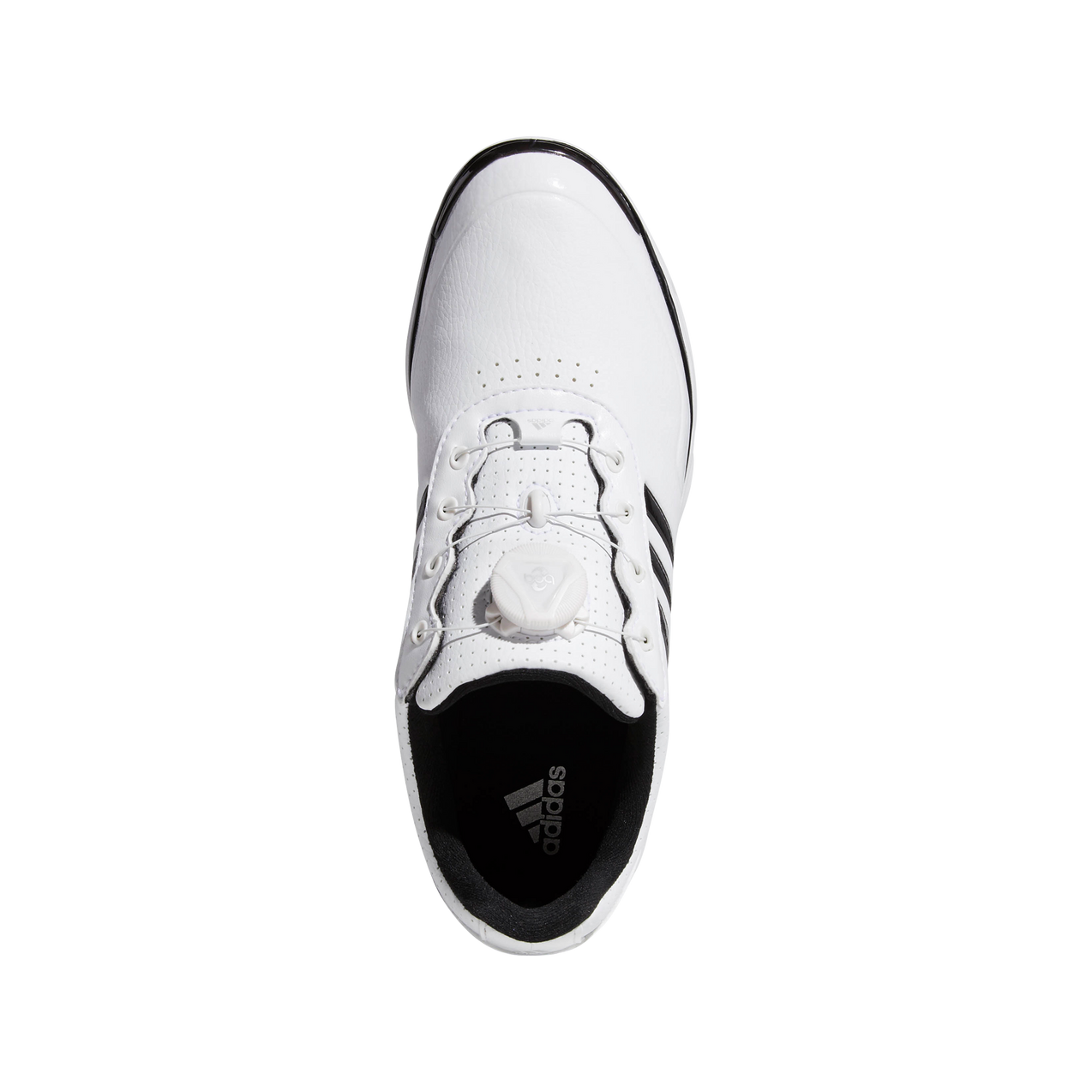Women's Adistar Lite Boa Spiked Golf Shoe - WHT/BLK