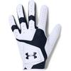 Cool Switch Left Golf Glove